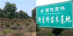 xishihenglongqiao xishihenglongqiao